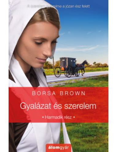Gyalázat és szerelem - Harmadik rész