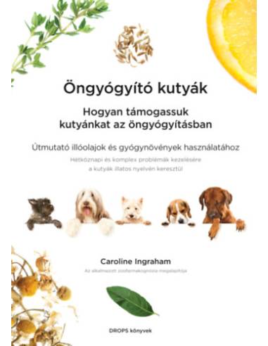 Öngyógyító kutyák - Hogyan támogassuk kutyánkat az öngyógyításban