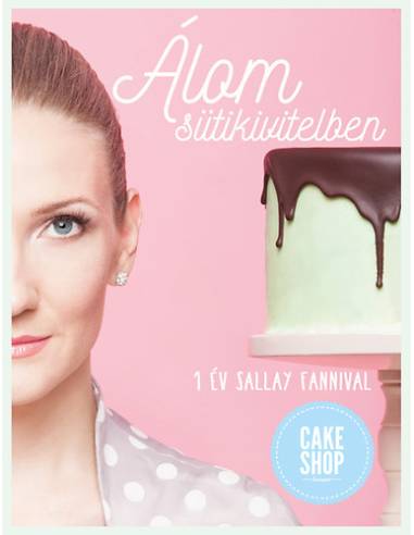 Álom sütikivitelben - 1 év Sallay Fannival