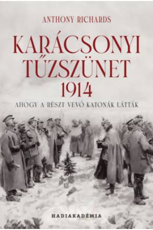 Karácsonyi tűzszünet, 1914 - Ahogy a részt vevő katonák látták