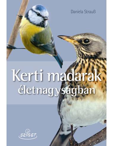 Kerti madarak életnagyságban