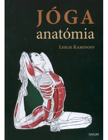 Jóga anatómia