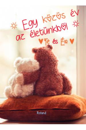 Te és Én - Egy közös év az életünkből (macis borító)
