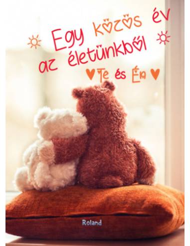 Te és Én - Egy közös év az életünkből (macis borító)