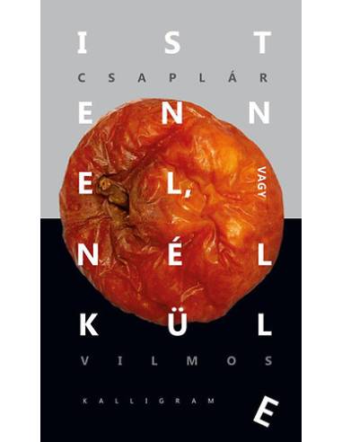 Istennel, vagy nélküle - Gondolatok a reflektív evolúcióról