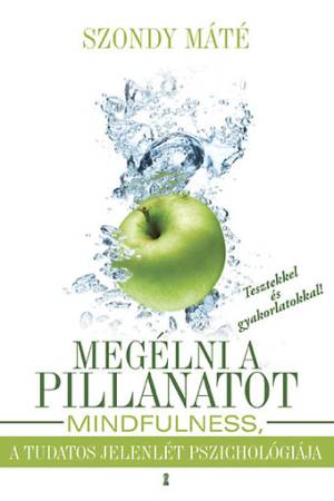 Megélni a pillanatot - Mindfulness, a tudatos jelenlét pszichológiája