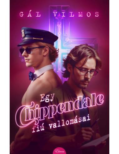Egy Chippendale-fiú vallomásai