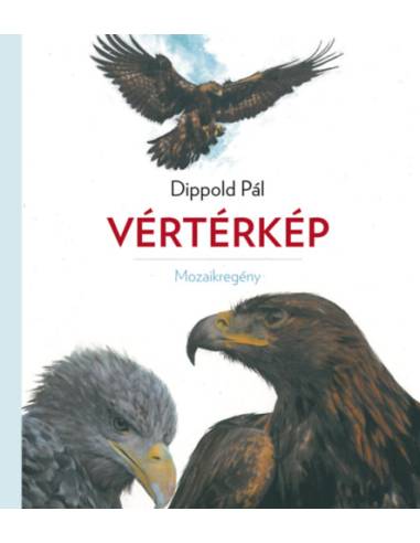 Vértérkép - Mozaikregény