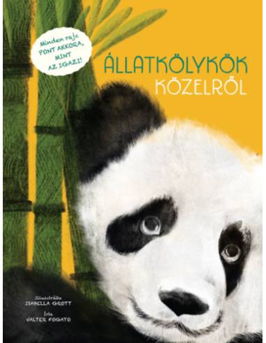 Állatkölykök közelről - Minden rajz PONT AKKORA, MINT AZ IGAZI!