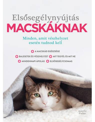 Elsősegélynyújtás macskáknak