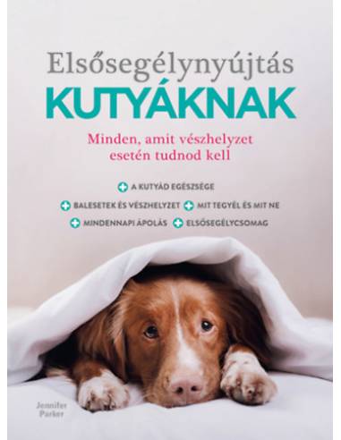 Elsősegélynyújtás kutyáknak