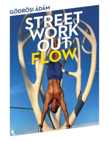 Street workout flow