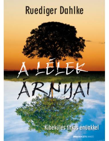 A lélek árnyai - Kibékülés titkos énünkkel