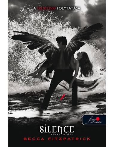 Silence - Vihar előtt - KEMÉNYTÁBLA