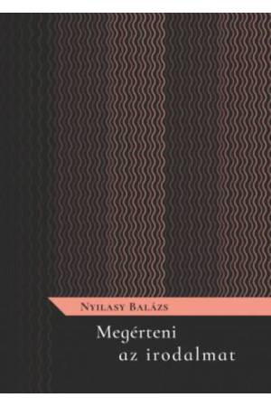 Megérteni az irodalmat