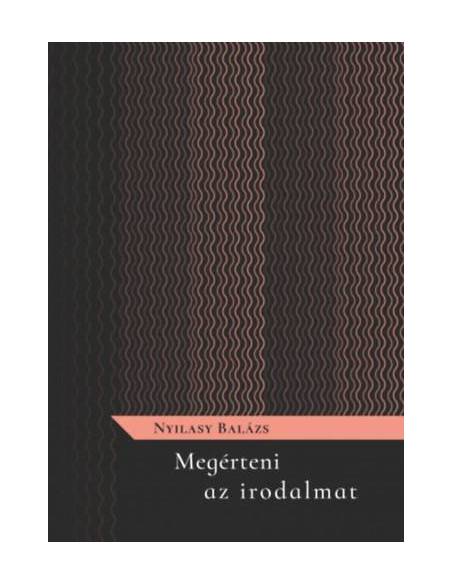 Megérteni az irodalmat