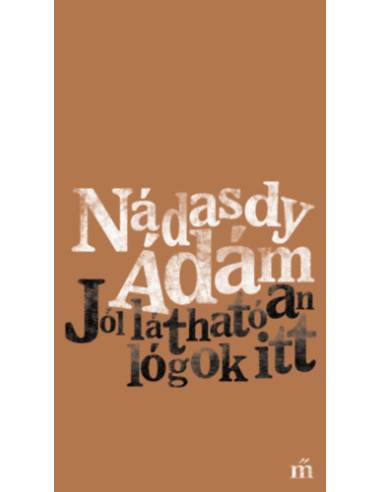 Jól láthatóan lógok itt