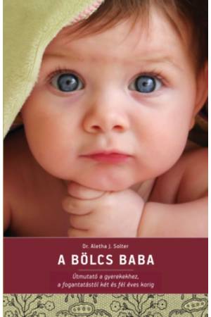 A bölcs baba - Útmutató a gyerekekhez, a fogantatástól kés és fél éves korig