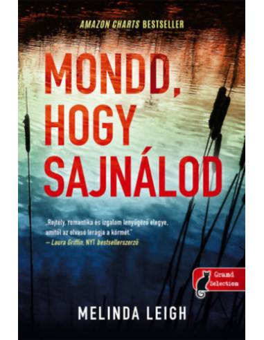 Mondd, hogy sajnálod - Morgan Dane 1.