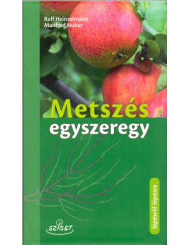 Metszés egyszeregy