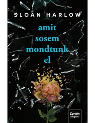 Amit sosem mondtunk el