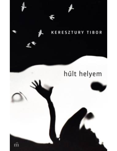Hűlt helyem