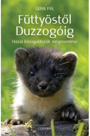 Füttyöstől Duzzogóig - Hazai kisragadozók megmentése