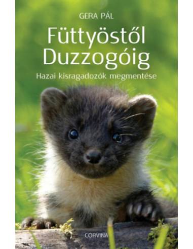 Füttyöstől Duzzogóig - Hazai kisragadozók megmentése