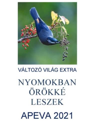Apeva 2021 - Nyomokban örökké leszek