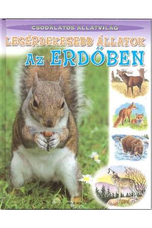 Legérdekesebb állatok az erdőben - Csodálatos állatvilág