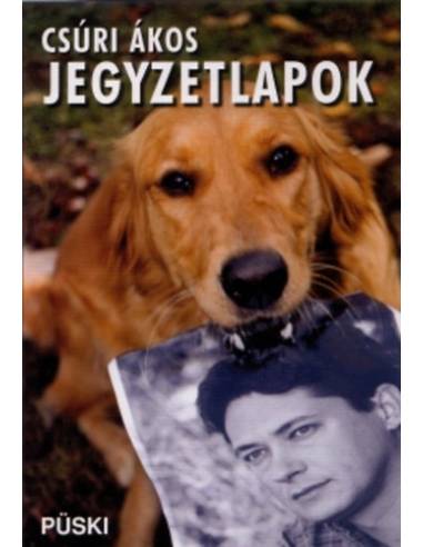 Jegyzetlapok