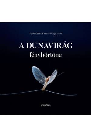 A Dunavirág fénybörtöne