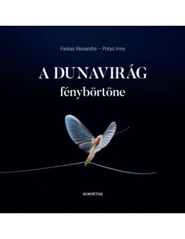 A Dunavirág fénybörtöne