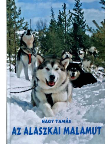 Az alaszkai malamut - TANULMÁNY
