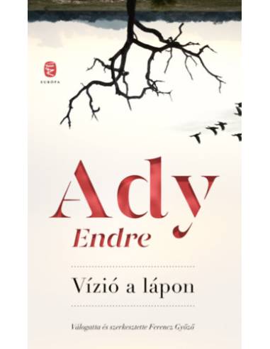 Vízió a lápon