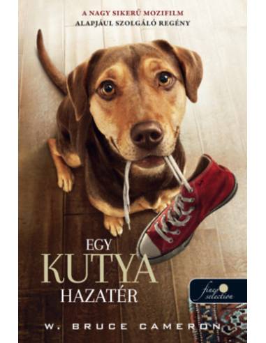 Egy kutya hazatér - filmes borító