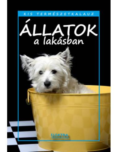 Állatok a lakásban
