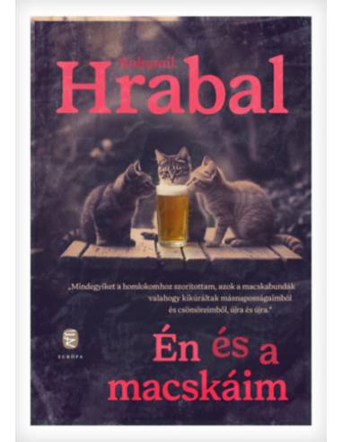 Én és a macskáim