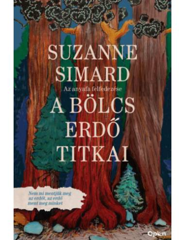 A bölcs erdő titkai - Az anyafa felfedezése