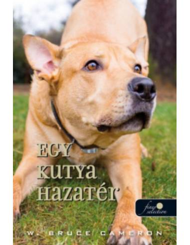 Egy kutya hazatér - filmes borító