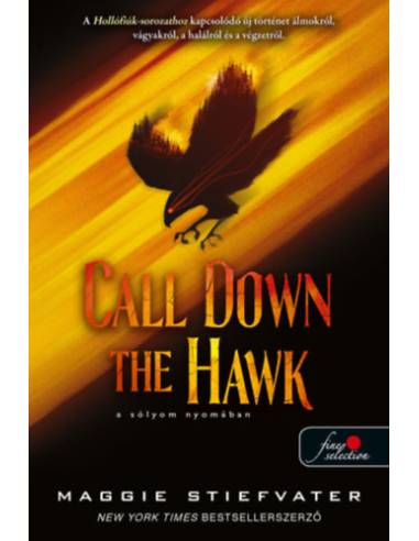 Call Down the Hawk - A sólyom nyomában - Álmodók-trilógia 1.