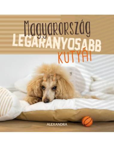 Magyarország legaranyosabb kutyái - 365 gondolat