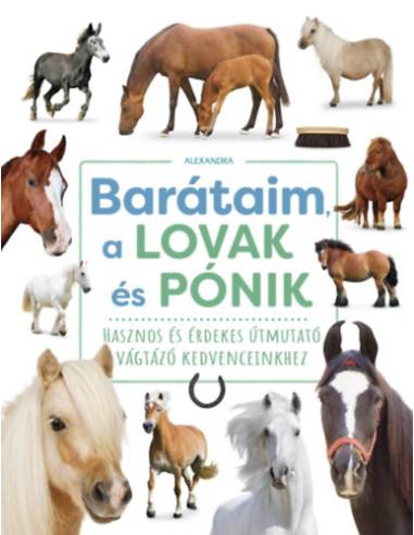 Barátaim, a lovak és pónik