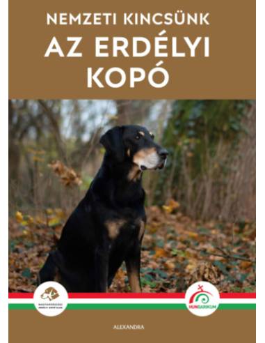Az erdélyi kopó