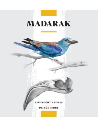 Madarak