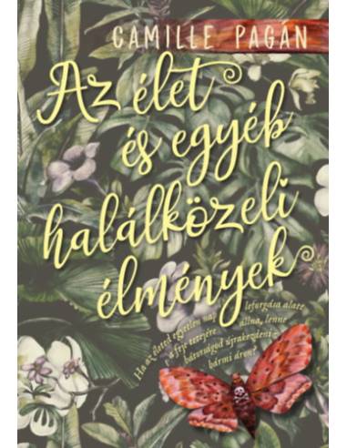 Az élet és egyéb halálközeli élmények