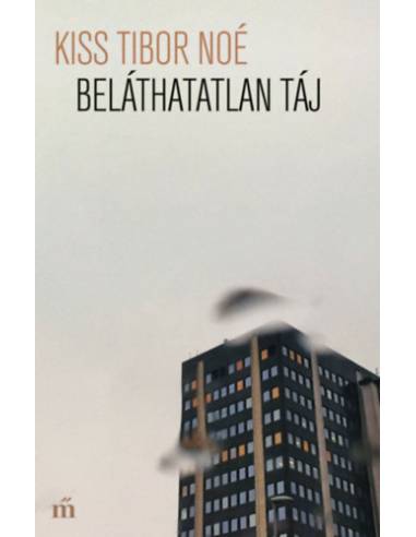 Beláthatatlan táj