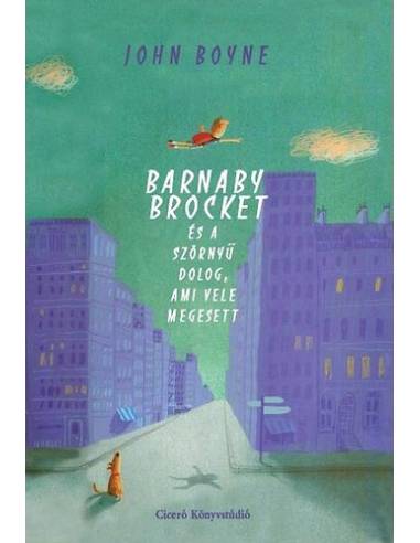 Barnaby Brocket és a szörnyű dolog, ami vele megesett