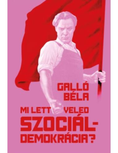 Mi lett veled szociáldemokrácia? - Neoliberális zsákutcában a baloldal