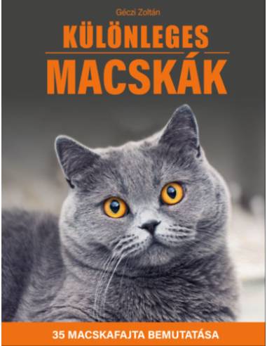 Különleges macskák - 35 macskafajta bemutatása